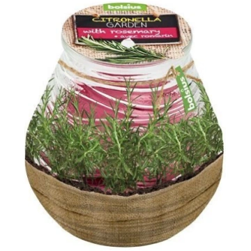 Svece pretodu Ø8.5x9cm Citronella Rozmarīns BErace