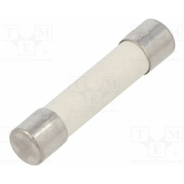 Fuse: fuse; ceramic,cylindrical; 40A; 250VAC; time