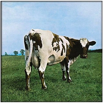 Pink Floyd Atom Heart Mother 12" albuma vāka apdru