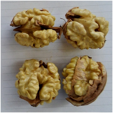 Cogalniceanu