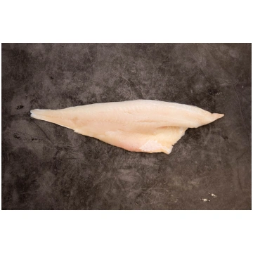 Haddock Fillet