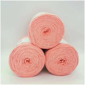 Salmon Ribbon 250gr - 2 Pezzi