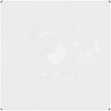 Skaidrus brezentas su ąselėmis 2x2 m pvc