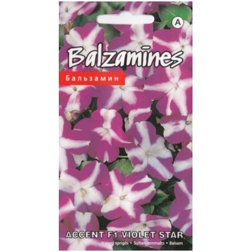Balzamīnes accent f1 violet star Kurzemes sēklas