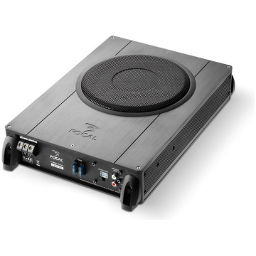 focal ibus 20