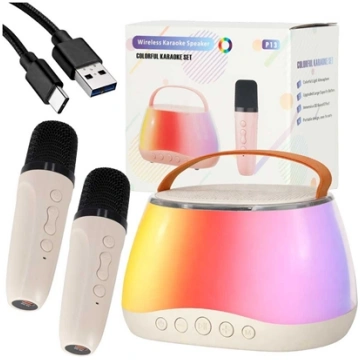 RoGer Portable Bluetooth Karaoke Speaker Set 59030