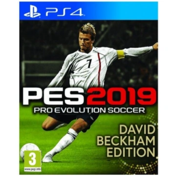 Datorspēle Spēle priekš PlayStation 4, Pro Evoluti