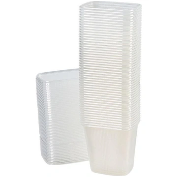 DISPOSABLE CONTAINERS SET WITH LIDS FIND072 (47720