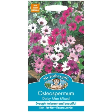 Osteospermum DAISY MAE MIXED, 25 sēklas UK