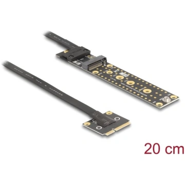 Delock Adapter Mini PCIe male to M.2 Key M female 