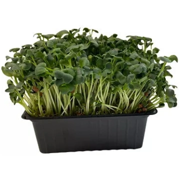 Mikrolapas redīsi Greenery 30 g — redīsu mikrolapa