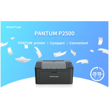 PANTUM P2500W
