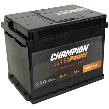 Champion Power 55AH 450A