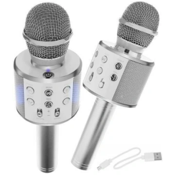 Bērnu karaoke mikrofons ar skaļruni, sudrabs Nav n