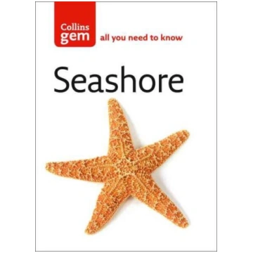 Seashore