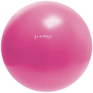Vingrošanas bumba sievietēm 55cm ar pumpi, rozā HM
