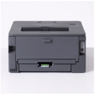 Brother HL-L2400DW Laser Printer