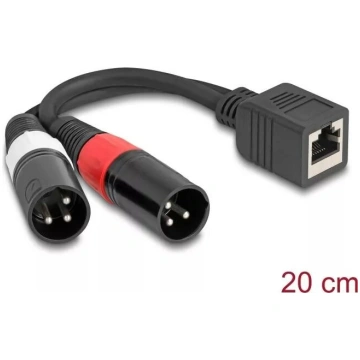 DeLOCK audio kabelis 0.2 m RJ-45 2 x XLR (3-pin) m