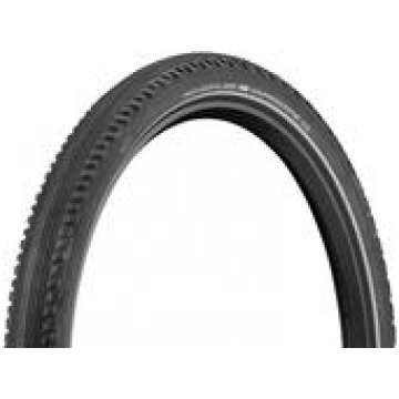 Riepa Schwalbe Hurricane 29 X 2.4 DD RG RT