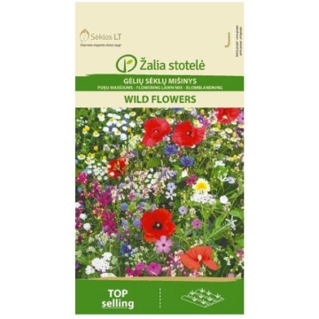 PUĶU MAISĪJUMS WILD FLOWERS Žalia stotelė