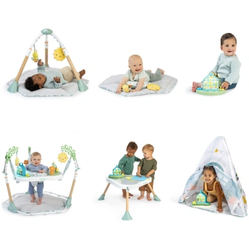 Ingenuity - Tummy to Toes Trademark 6-in-1 Milesto