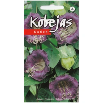 Kobejas violētas sēklas 5gb Kurzemes sēklas