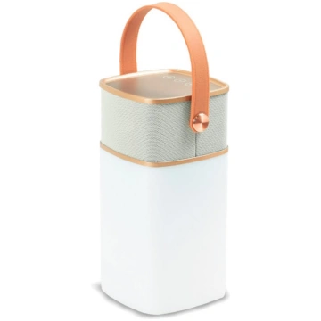 Portable Bluetooth speaker with LED luminaire + US