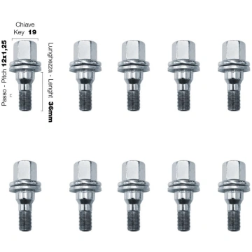 10 bolts key 19 12x1.25 l.36mm flat head