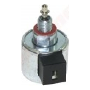 SOLENOĪDA VĀRSTS B&S (694393, 846639) Dolpinno 694