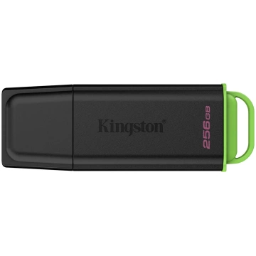 Kingston USB Flash Drive DataTraveler Exodia 256 G
