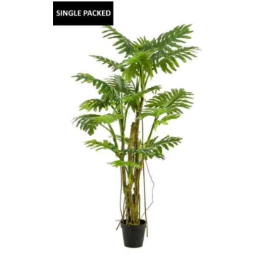 Lietots - Philodendron tree with liana 195cm