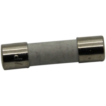 Fuse: fuse; ceramic,cylindrical; 100mA; 250V; ultr