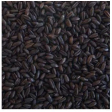 Grauzdēti rudzi (Lielbritānija)-1kg IE-048
