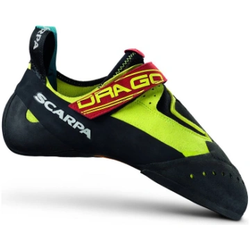 Drago (43) Scarpa