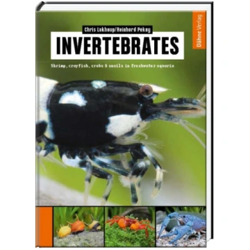 Invertebrates: Shrimp, crayfish, crabs & snails in
