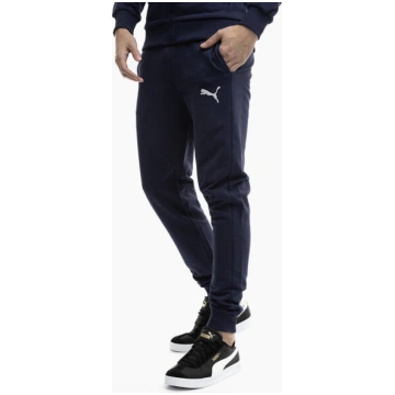 Treniņbikses vīriešiem Puma Team Goal Casuals 6585