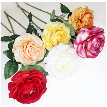 Rozes H50cm