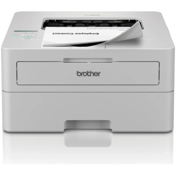 Brother HL-L2865DW Printer Laser B/W A4 34 ppm USB