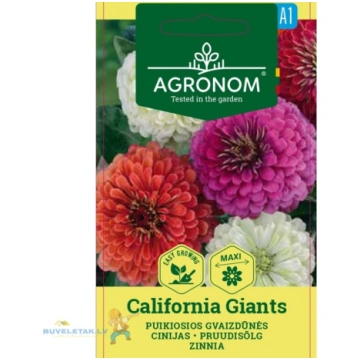 Sēklas cinnijas California Giants 0.5g 34565