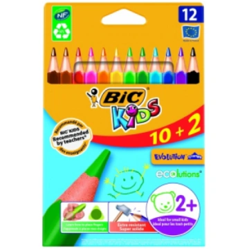 BIC Krāsaed pencils EVOLUTION TRIANGLE 12 krāsas 8