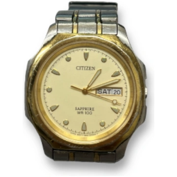 Lietots - Citizen WR 100