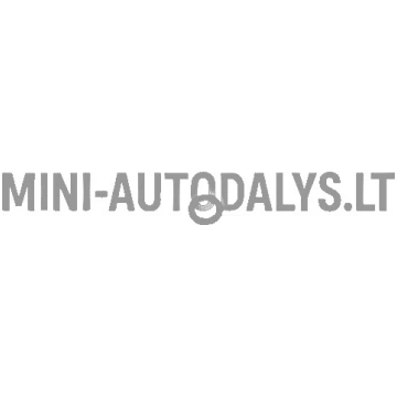 Eļļas mērstienis ar blīvgredzenu Lombardini 502 FO