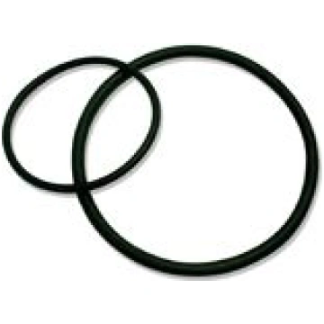 Aqua O-ring blīve priekš AquaKid filtriem 47509890