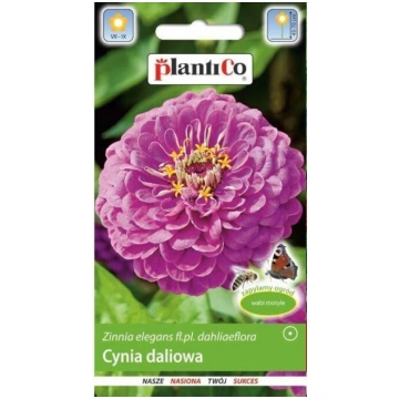 Cinnijas dālijziedu gaiši violetas Lavanda. 1g