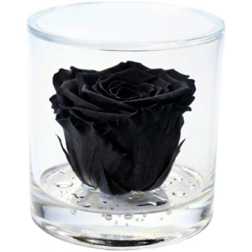 Runde Box mit stabilisierter roter Rose, parfümier