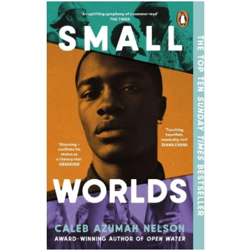 Small Worlds Penguin Books Ltd (UK)