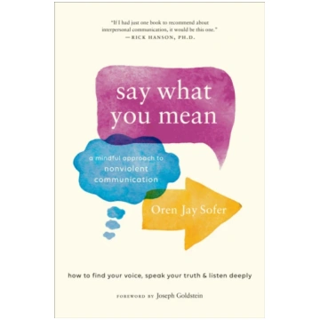 Say What You Mean Oren Jay Sofer