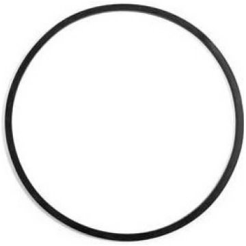 INTEX - 11728 - Guarnizione centrale filtro a sabb