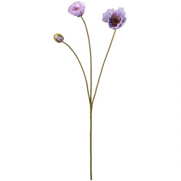 Magone 75cm lillā