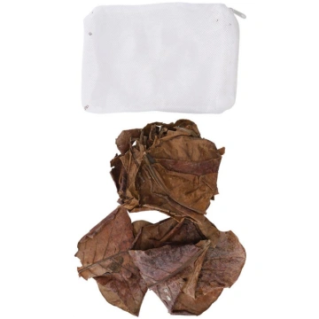 Natural Olive Terminalia Catappa Leaf Aquarium Low